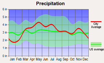 Wentzville, Missouri average precipitation