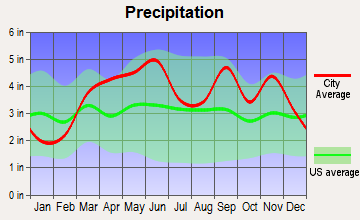 Willard, Missouri average precipitation