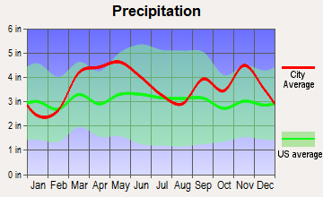 Willow Springs, Missouri average precipitation