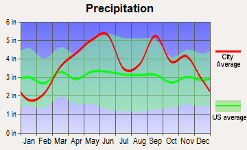 Duquesne, Missouri average precipitation