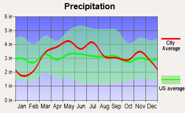 Cottleville, Missouri average precipitation