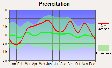 Clever, Missouri average precipitation