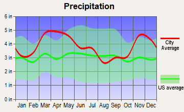 Clarkton, Missouri average precipitation