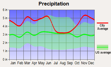 Magnolia, Arkansas average precipitation
