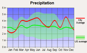 Branson, Missouri average precipitation