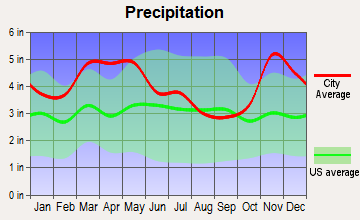 Bloomfield, Missouri average precipitation