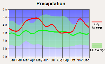Bell City, Missouri average precipitation