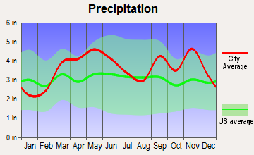 Ava, Missouri average precipitation