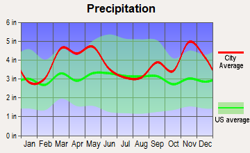 Melbourne, Arkansas average precipitation