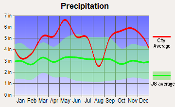 Mena, Arkansas average precipitation