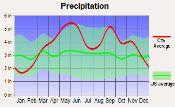 Neck City, Missouri average precipitation