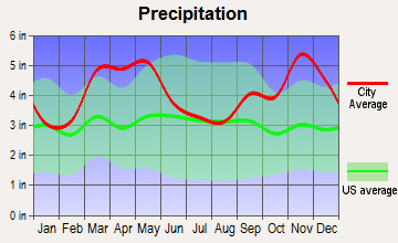 Mountain View, Arkansas average precipitation