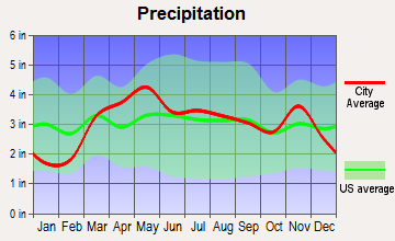 Louisiana, Missouri average precipitation