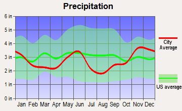 Martin City, Montana average precipitation