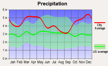 Pine Bluff, Arkansas average precipitation