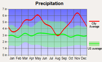 Piney, Arkansas average precipitation