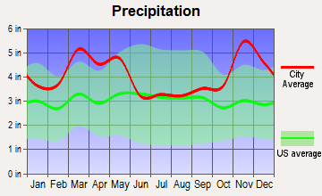 Pocahontas, Arkansas average precipitation