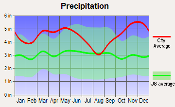 Rosston, Arkansas average precipitation