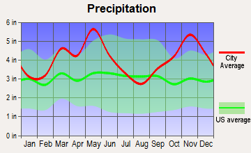 Russellville, Arkansas average precipitation