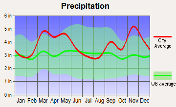 Salem, Arkansas average precipitation