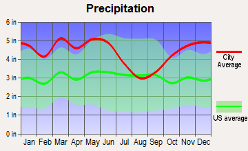 Smackover, Arkansas average precipitation