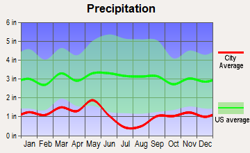 Spring Creek, Nevada average precipitation