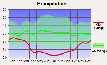 Stateline, Nevada average precipitation
