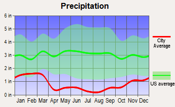 North Valleys, Nevada average precipitation