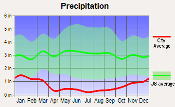 Gardnerville, Nevada average precipitation