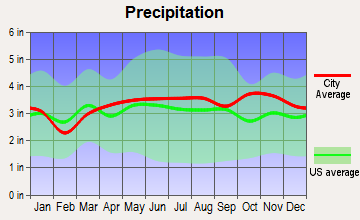 Auburn, New Hampshire average precipitation