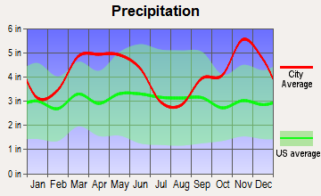 Twin Groves, Arkansas average precipitation