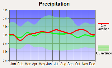 Pittsfield, New Hampshire average precipitation