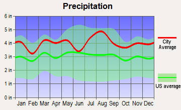 Allenwood, New Jersey average precipitation