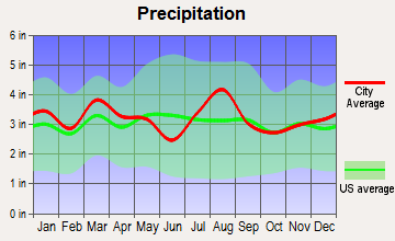 Brigantine, New Jersey average precipitation