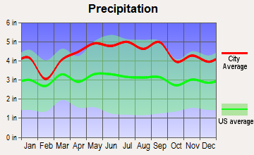 Budd Lake, New Jersey average precipitation
