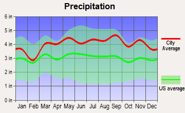 Emerson, New Jersey average precipitation