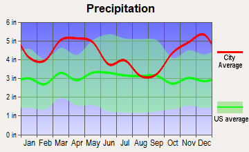 White Hall, Arkansas average precipitation
