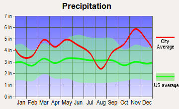 Wilton, Arkansas average precipitation