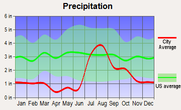 Reserve, New Mexico average precipitation