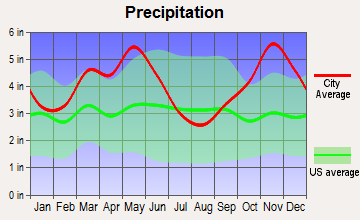 Atkins, Arkansas average precipitation