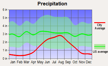 Dora, New Mexico average precipitation