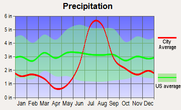 Cloudcroft, New Mexico average precipitation
