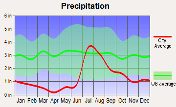 Bayard, New Mexico average precipitation