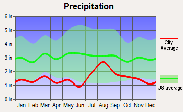 Tierra Amarilla, New Mexico average precipitation