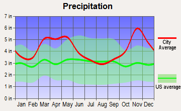 Beebe, Arkansas average precipitation