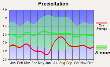 Red Rock, New Mexico average precipitation