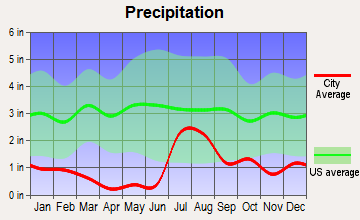 Virden, New Mexico average precipitation