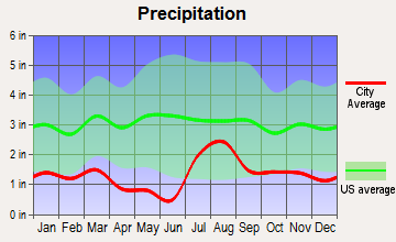 Twin Lakes, New Mexico average precipitation