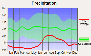 Truth or Consequences, New Mexico average precipitation