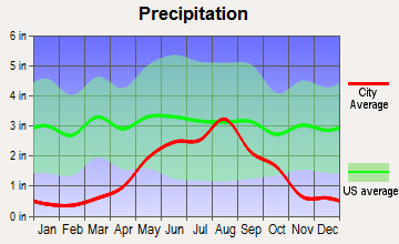 Texico, New Mexico average precipitation